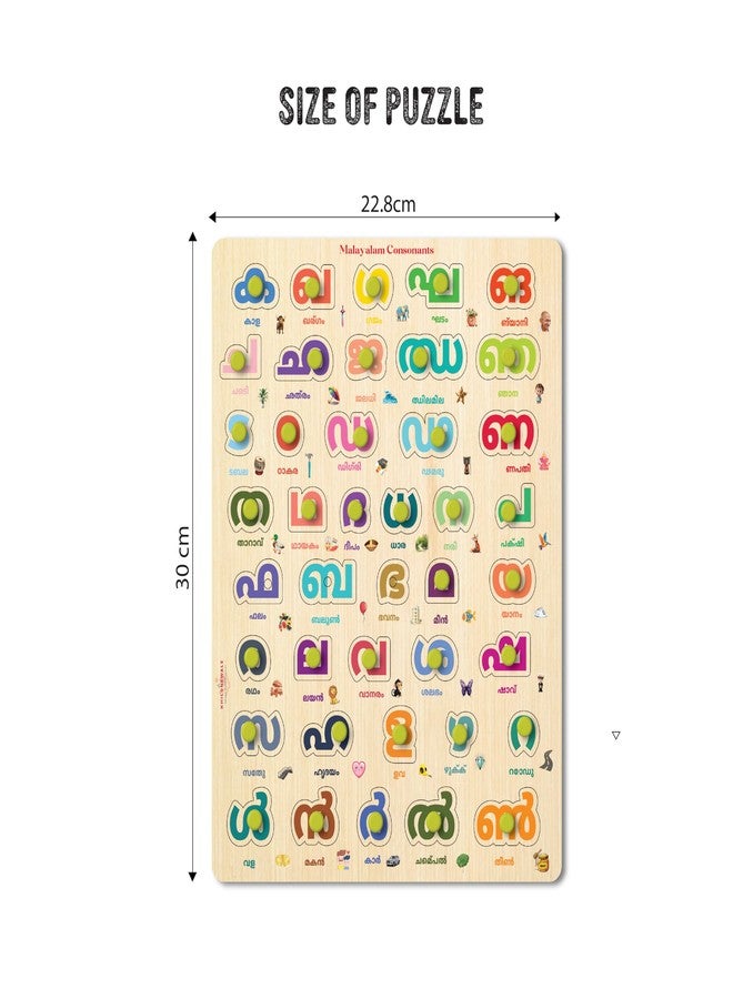 Khilonewale Wooden Knob Puzzle - Malayalam Vowels & Consonants for Kids | 3+ Age Educational Toy | 9x12 Inch Montessori Learning Puzzle for Toddlers | Safe & Non-Toxic Preschool Alphabet Game - Image 3